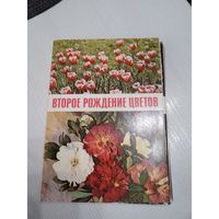 ВТОРОЕ РОЖДЕНИЕ ЦВЕТОВ. Набор открыток, 16 штук, издательство ПРАВДА, 1971 год. /ЮК