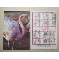Карманный календарик. Фламинго. 1991 год
