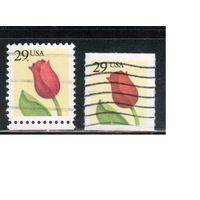 США-1991, (Мих.2125 А+С),  гаш. , Стандарт, Цветы, Тюльпан(одиночка), 2 зубцовки