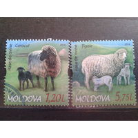 Молдова 2014 Овцы полная серия Михель-3,5 евро гаш