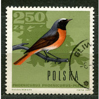 Певчие птицы. Польша. 1966