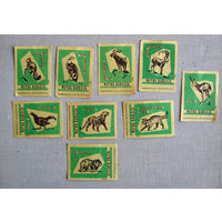 Спичечные этикетки Фауна Кавказа 9 штук Зеленые Башкирия 1962