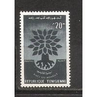КГ Тунис 1960 Дерево