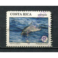 Коста-Рика - 1993 - Дельфин 10 Col - [Mi.1417] - 1 марка. Гашеная.  (Лот 24EJ)-T2P16