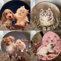 Тарелка коллекционная Коты и Собаки Англия винтаж