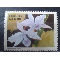 Бразилия 1987 Орхидеи**