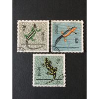 Рептилии. Польша,1963, 3 марки из серии