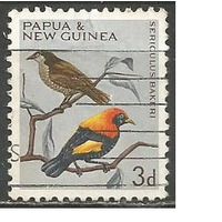 Папуа Новая Гвинея. Птицы. Красношапочный шалашник. 1964г. Mi#63.