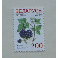 Беларусь. Стандарт. ( 1 марка ) 2004 года. 2-5.