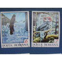 Румыния 1992 г. Птицы.
