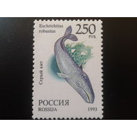 Россия 1993 кит**