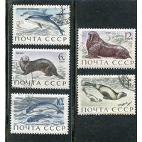 СССР 1971.. Морская фауна