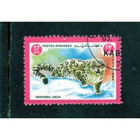 Афганистан.Ми-1346. Снежный барс (Panthera uncia). Серия: Фауна. 1984.