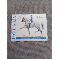 Польша 1967. Породы лошадей