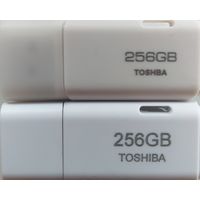 USB Flash 256 GB.