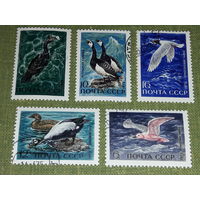 СССР 1972 Фауна. Водоплавающие птицы. Полная серия 5 марок