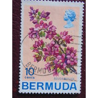 Бермуды 1970 г. Бугенвиллия.  Цветы.
