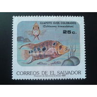 Сальвадор 1985 рыба