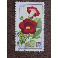 Румыния 1965 г. Цветы.