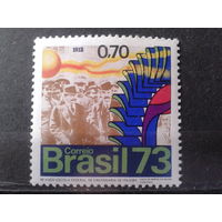 Бразилия 1973 Наука Михель-5,5 евро