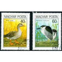 Охраняемые птицы Европы Венгрия 1980 год 2 марки