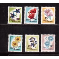 Румыния-1975(Мих.3285-3290) ** , Флора, Цветы (полная серия)