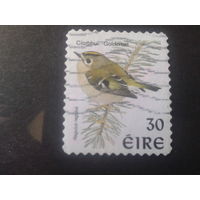 Ирландия 1998 птицы