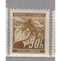 Германия рейх  Богемия и Моравия Местные мотивы 1941 г флора  лот 6