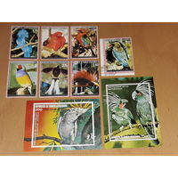 Экваториальная Гвинея 1974 Фауна. Птицы. Комплект 2 Блока + 7 марок