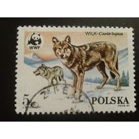 Польша 1985 волки WWF