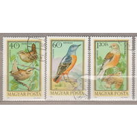 Птицы  Фауна Венгрия 1973 год лот 1071