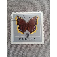 Польша 1967. Бабочки. Vanesa antiopa