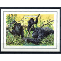 Руанда - 1985г. - Горные гориллы. Охрана природы - полная серия, MNH [Mi bl. 103] - 1 блок