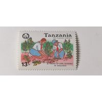 Танзания 1990. 60-летие движения девушек-гидов в Танзании