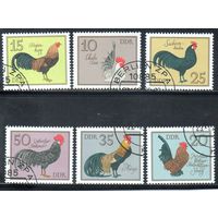 Породы петухов ГДР  1979 серия из 6 марок