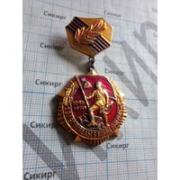 Знак 25 лет Победы.