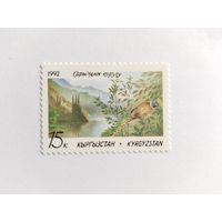Киргизия 1992 1м