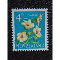Новая Зеландия. Цветы.