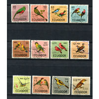 Эквадор - 1966 - Птицы - [Mi. 1230-1241] - полная серия - 12 марок. Гашеные.  (LOT D60)