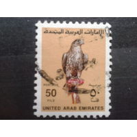 ОАЭ, 1990. Соколиная охота