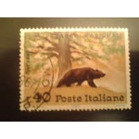 Италия 1967  медведь