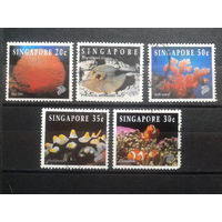 Сингапур, 1994. Жизнь на коралловом рифе