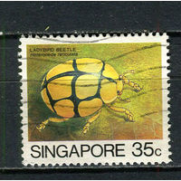 Сингапур - 1985 - Насекомые 35С - [Mi.468I] - 1 марка. Гашеная.  (Лот 92FB)-T25P10