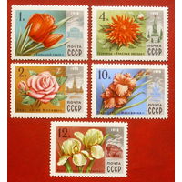 СССР. Цветы Москвы. ( 5 марок )  1978 года. 7-6.