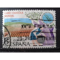 Испания 1979 Межд. год оливок