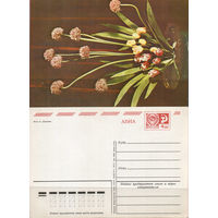 Почтовая карточка "Цветы"
