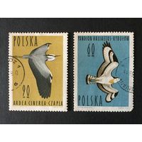 Птицы. Польша,1964, 2 марки из серии