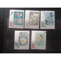 Польша 1957 Цветы, полная серия