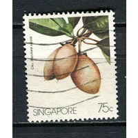 Сингапур - 1986 - Фрукты 75С - [Mi.493] - 1 марка. Гашеная.  (Лот 93FB)-T25P10