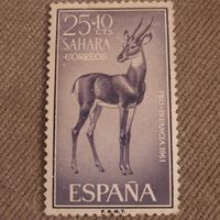Сахара 1961. Испанская колония. Антилопа
